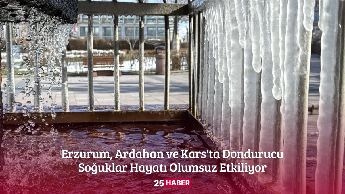 erzurum, ardahan ve kars'ta dondurucu soğuklar hayatı olumsuz etkiliyor - 25haber 25 haber erzurum haber erzurum haberleri