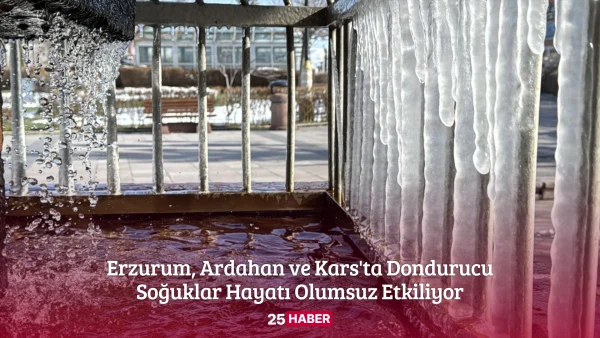 Erzurum, Ardahan ve Kars'ta Dondurucu Soğuklar Hayatı Olumsuz Etkiliyor - 25haber 25 haber erzurum haber erzurum haberleri