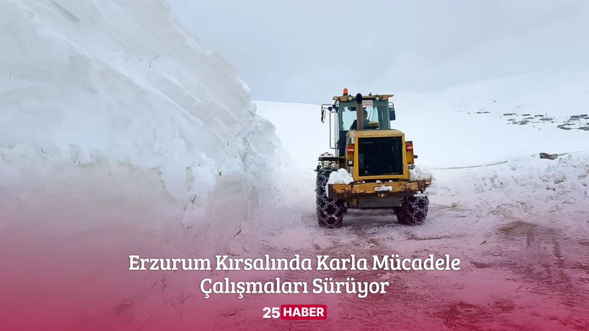 erzurum kırsalında karla mücadele çalışmaları sürüyor - 25 haber 25haber erzurum haber erzurum haberleri