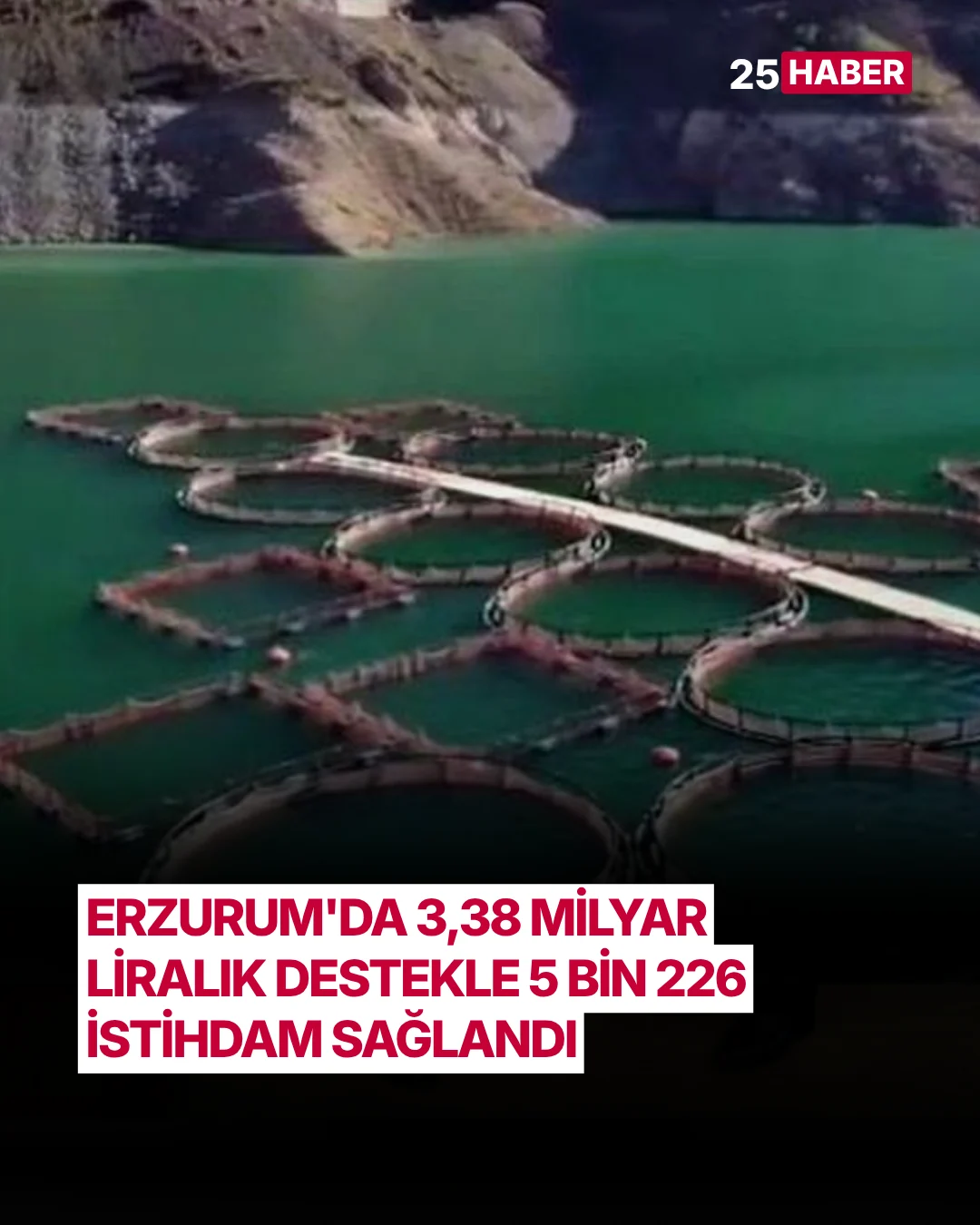 aerzurumda 338 milyar liralik destekle 5 bin 226 istihdam saglandi
